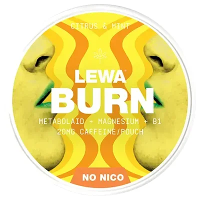 LEWA Burn Functional Citrus Mint