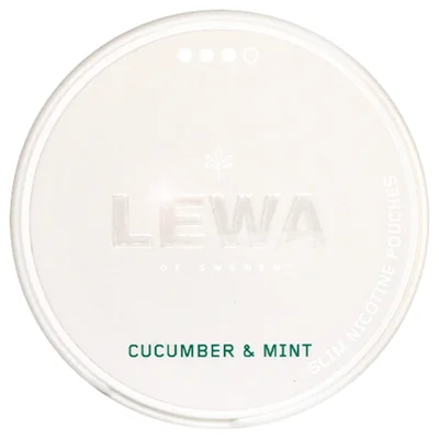 LEWA Cucumber Mint