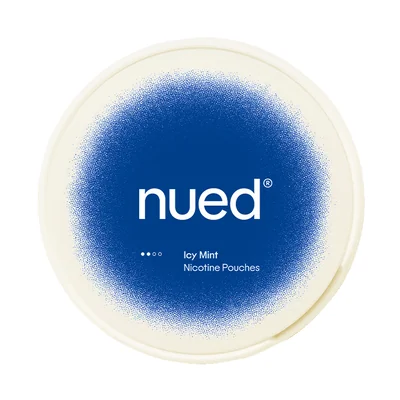 nued Icy Mint 2