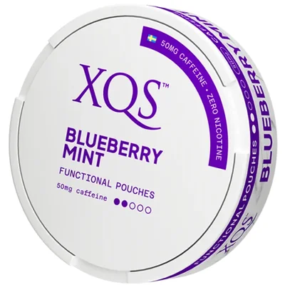 XQS Blueberry Mint Functional Pouches