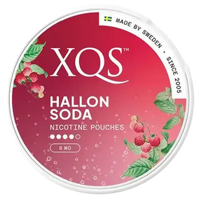Xqs Hallonsoda 8 mg 4